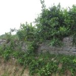 Đồn cổ Xuân Đám