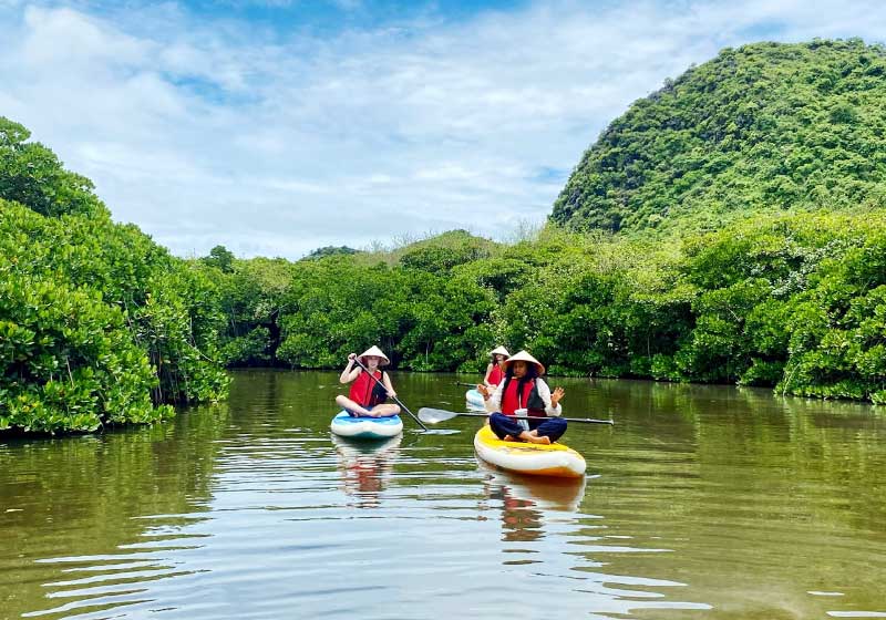 Rừng ngập mặn Phù Long