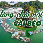 Làng chài cổ Cái Bèo