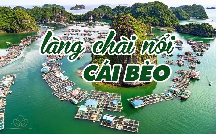 Làng chài cổ Cái Bèo