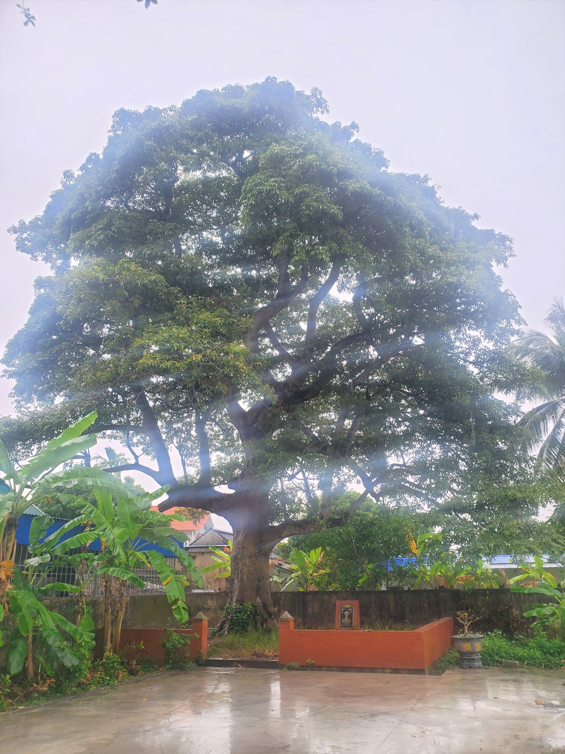 Đình miếu Nghĩa Lộ