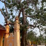 Chùa Trung Linh (Hiển Lâm)